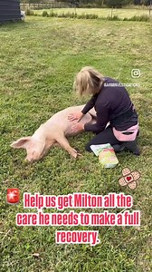 1.2K views · 16 reactions | We’re almost there to cover Milton’s vet...