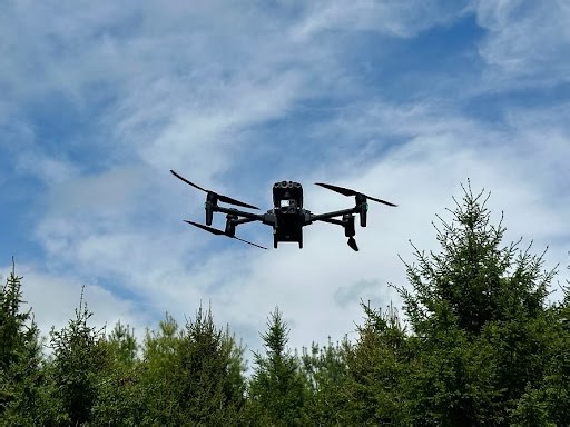 A battle against ticks takes to the air - The Martha's Vineyard Times