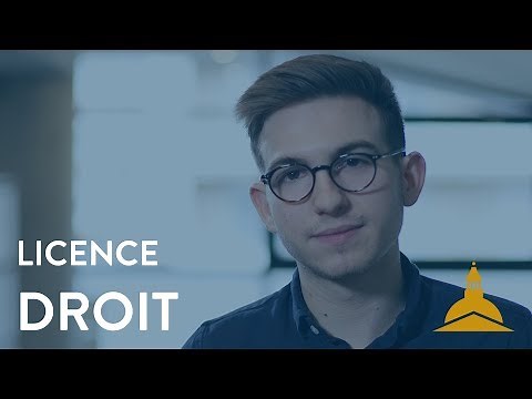La licence en Droit