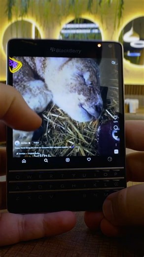 #blackberry #blackberrypassport #full #review #retrotech #techreview