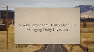 5 Ways Drones Are Highly Useful In Managing Dairy Livestock