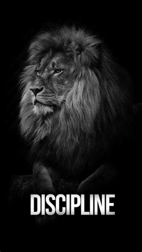 Apne Andar Discipline Kaise Laye | OjhaSir Motivation | #motivation