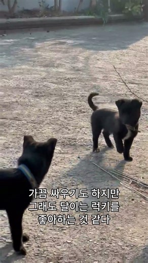 겁 많은 달이에게 친구가 생겼습니다