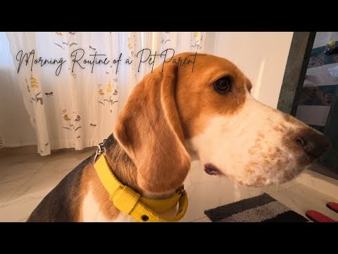 Peaceful Morning Routine as a Dog Mom 🌞🐾 | Featuring Gucci