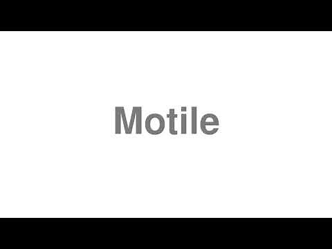 How to Pronounce "Motile"