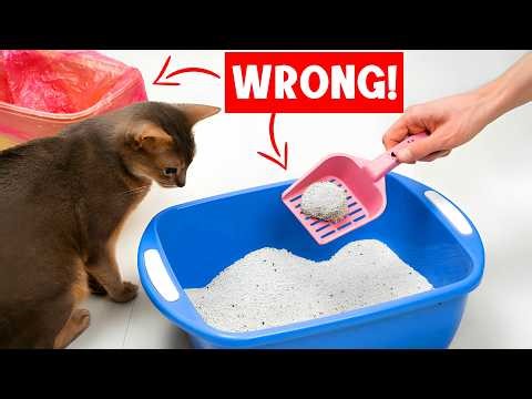 THESE MISTAKES with YOUR CAT'S LITTER BOX Are UNFORGIVABLE! 😿🔥