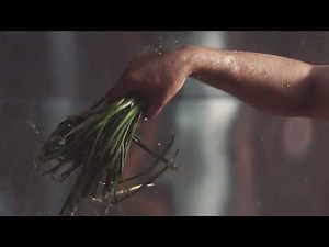 Restaurant promotion video; Arcadian Cafe.