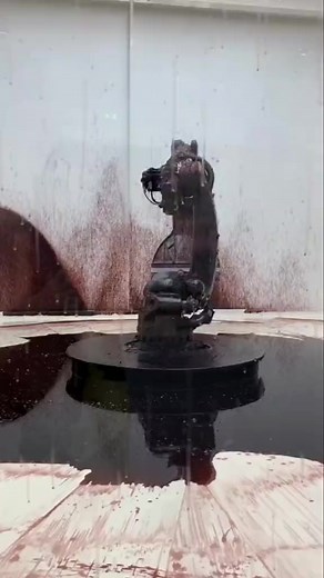 random facts #randomfacts #randomcuriosities | Random FACTS