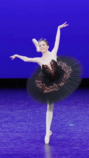 WONDERFUL 3rd Place Winner!