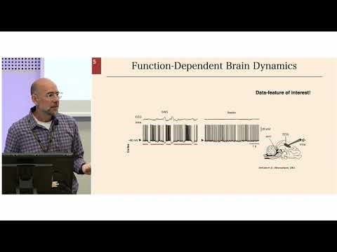 ICANN 2025 - The Virtual Brain - Spase Petkoski