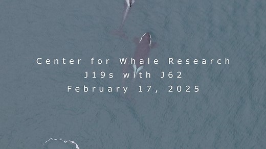 18K views · 465 reactions | As we enter this new week, the Center for...