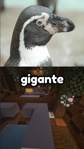 Pranks that went too far #4! 😮