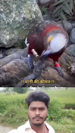 Please follow 🙏 #automatedaccounting #Automated #pleaseplease #pleasefollow #please | Sachin Kumar