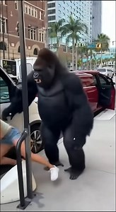 60K views · 336 reactions | An angry gorilla loose on the streets tries to attack a woman, but she manages to escape | Artificial Creation | Facebook