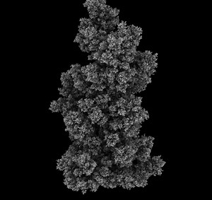 Growth by Aggregation