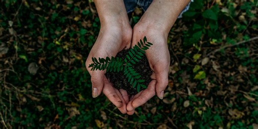 Thinking green: WIS celebrates Earth Day with composting tips and tricks