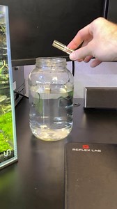 19K views · 589 reactions | I hatched Rainbowfish eggs in a jar! #rainbowfish #fishbreeding #fry #dakuaquatics #fishkeeping #aquarium #aquariumhobby #fish #aquascape #freshwateraquarium #aquariumfish #plantedtank #aquariums #tropicalfish #fishkeeper #aquascaping #aquariumlife #plantedaquarium #nanofish #aquariumsofinstagram #freshwaterfish #freshwatertank #aquascaper #natureaquarium #freshwater #fishofinstagram #nature #nanotank #fishroom | Daku Aquatics | Facebook