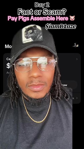 Pay Pigs: Fact or Scam? Unraveling the Truth