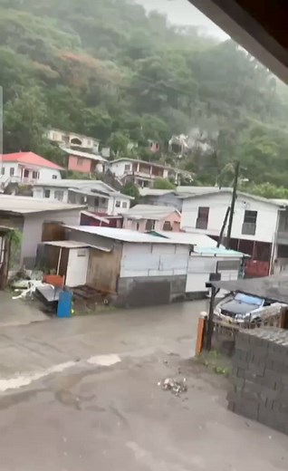 Please check on your neighbors....🥺🥺 | Pineapple Marketing & Communications