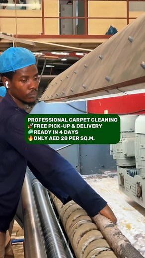 🧼 Professional Carpet Cleaning | Carpet Pro