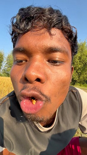 220K views · 5.9K reactions | Today tiffin time 藍 #comedyreels #Rajbanshi #rajbanshimansihasaa | Binay Ray | Facebook