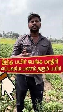 இந்த பயிர் பேங்க் மாதிரி எப்பவுமே பணம் தரும் பயிர்/Selling when the price is high bring great profit