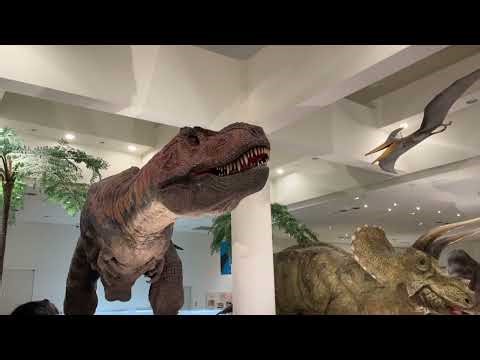 20260103 愛媛総合科学博物館