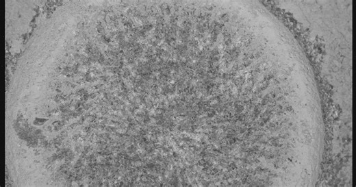 Mars Perseverance Sol 1851: WATSON Camera