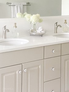 sherwin-williams-shiitake