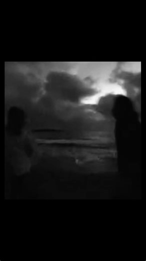 Vidéos de snom (@snomboo) au sujet de japanese women love american men