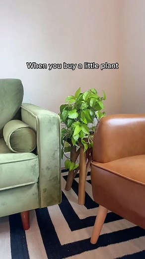 The Art of Plant Propagation: A Guide for Plant Parents