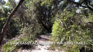 2.5K views · 24 reactions | Wow!  Have you explored this amazing part of our region? ☀️ It’s the Kattang Nature Reserve and it’s looking spectacular in the current winter sunshine. Take a look. We'd also love to see photos of your favourite walk in the region- please share them in the comments.  Emma Siossian | ABC Mid North Coast | Facebook