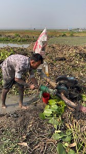 How to start shallow water matching | Fishing & Village Tradition