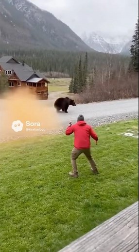 熊撃退スプレーを顔面噴射し追い払う #bear #熊 #shorts