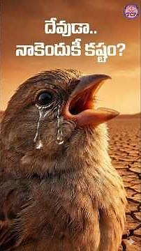 “The Tiny Bird That Said ‘Thank You God’… and Witnessed a Miracle! | Life-Changing Gratitude Story”