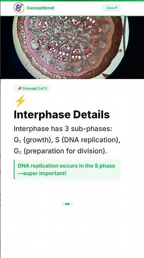 Cell Cycle and Cell Division, Class 11 Biology | Chapter 7 | Class 11 Biology | NCERT | ConceptScrol