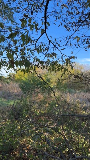 Making another move! 👊🏻👊🏻 stay tuned | Big Buck Down Outfitters