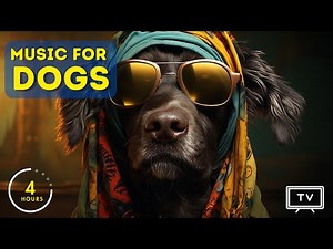 3 Hours of Reggae Music for Dogs: Soothing and Energizing TV for Dogs