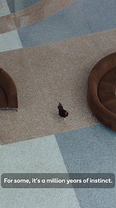 180 reactions · 43 shares | Invention comes first. And a whole lot of it starts at Qualcomm. | Snapdragon | Facebook