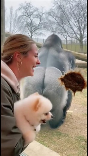 One Gorilla Move That Broke the Internet