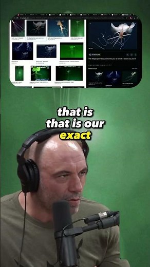 Bizarre Deep-Sea Encounter: Alien-Like Creature Found Under Oil Rig | Joe Rogan Experience #1403