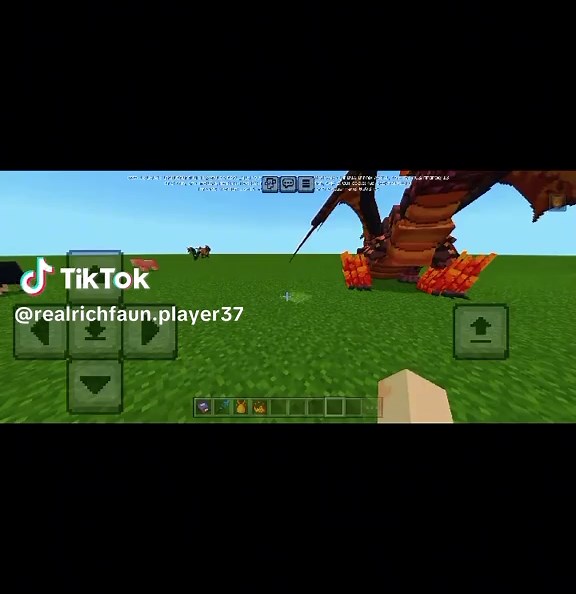 RealRichFaun on TikTok