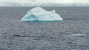 File:Cuverville Island, Antarctica.webm - Wikimedia Commons