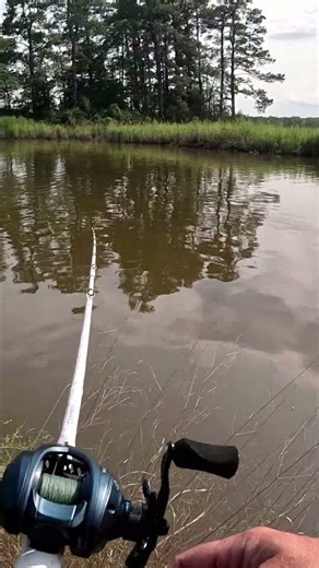baitcaster casting smooth or nah #fishing #baitcaster #technique