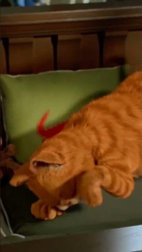 Garfield 2004 clip 1