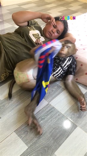 What Are You Doing Jason?? His Leg Poke Mom's Leg To Alert Look At Him 🤣🤣 | Monkey Jason