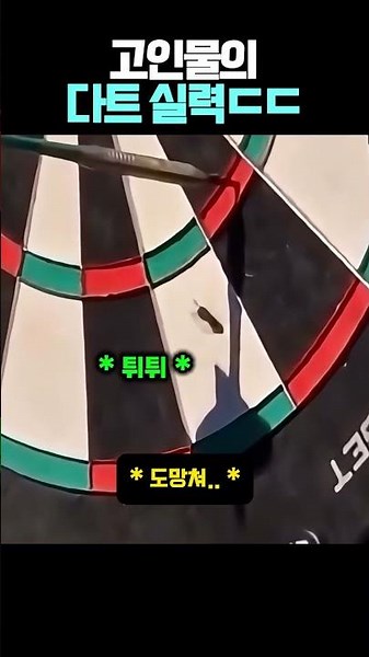 The darts skills of a veteran gamer ㄷㄷ