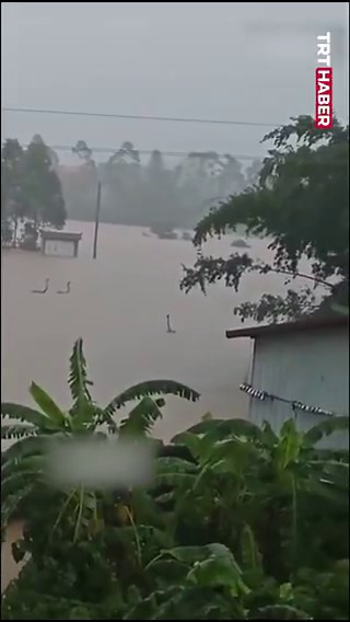 INSANE: 900 Snakes, Including Venomous Cobras, Escape into Village from Breeding Farm After Massive Flooding in China.