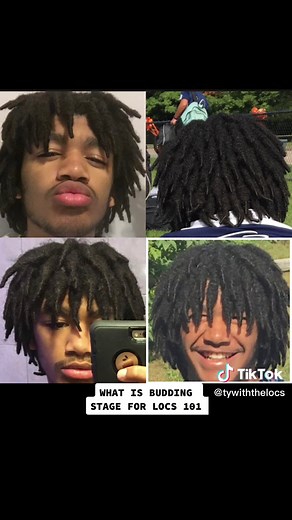 Understanding the Budding Stage for Locs