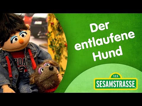 Sesamstraße Folge 3007: Der entlaufene Hund | Sesamstraße | NDR